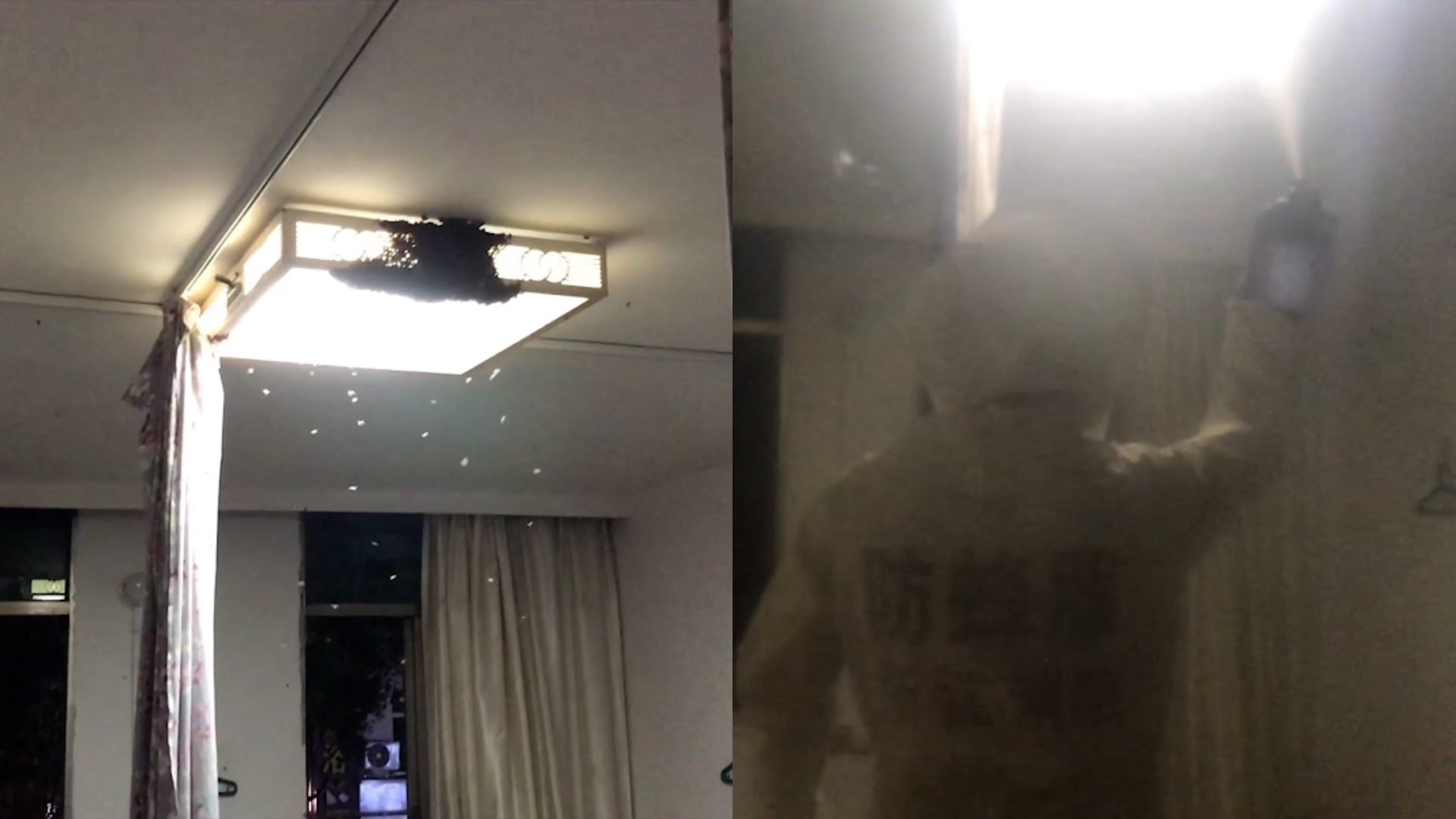 家被数千只蜜蜂强占男子报警求助，消防变“追蜂人”展开人蜂大战_西部决策网_国家一类新闻网站