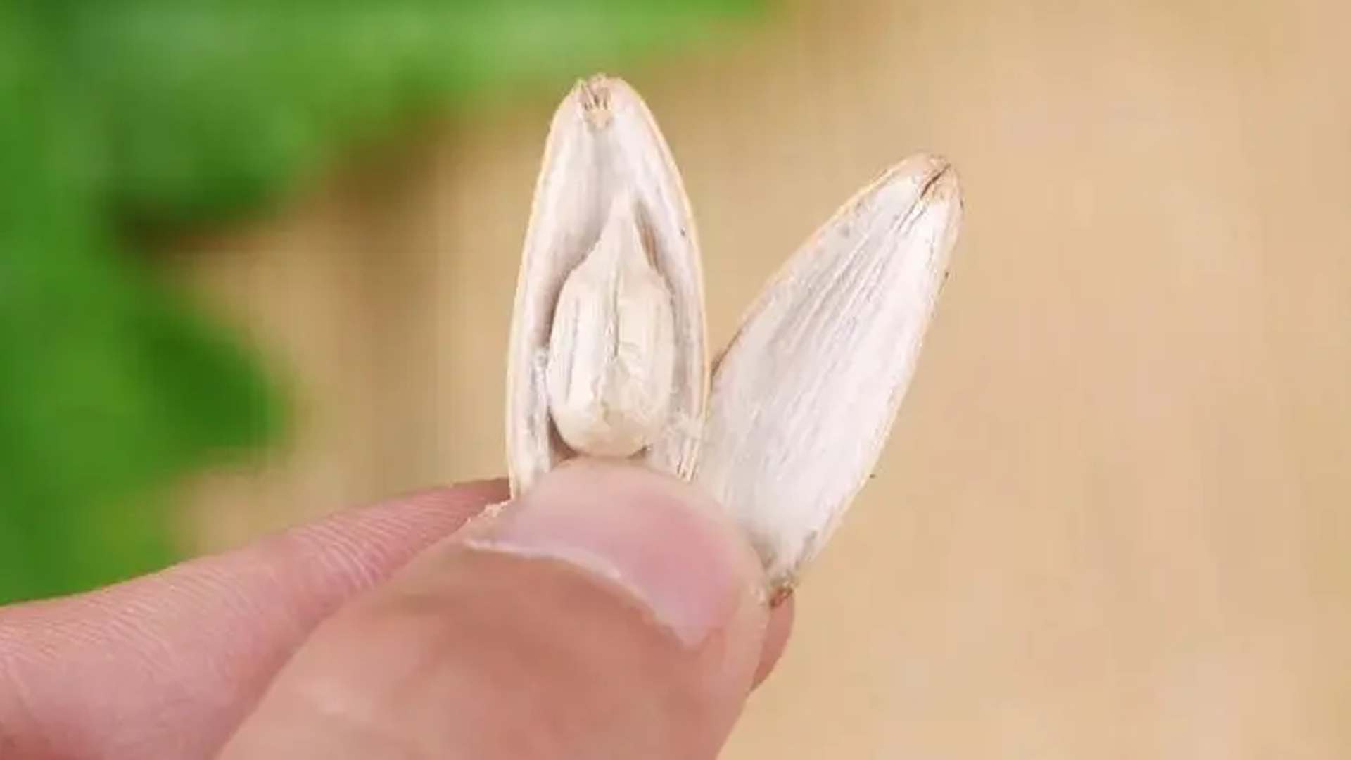 50岁大叔因一片瓜子皮险丧命：扎进手后用针挑，不幸感染破伤风_西部决策网_国家一类新闻网站