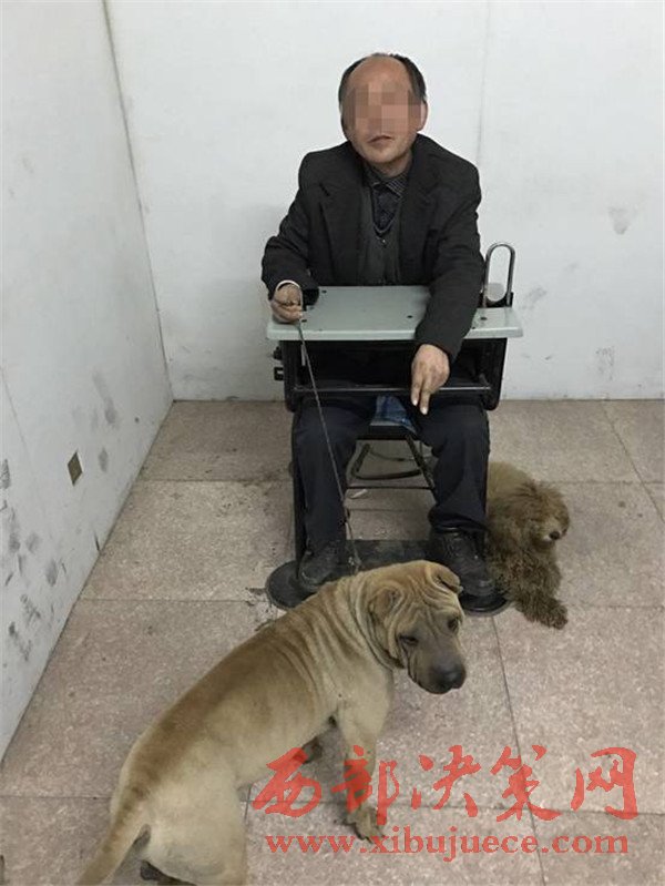 绥德一偷狗贼落网 偷狗工具令人诧异