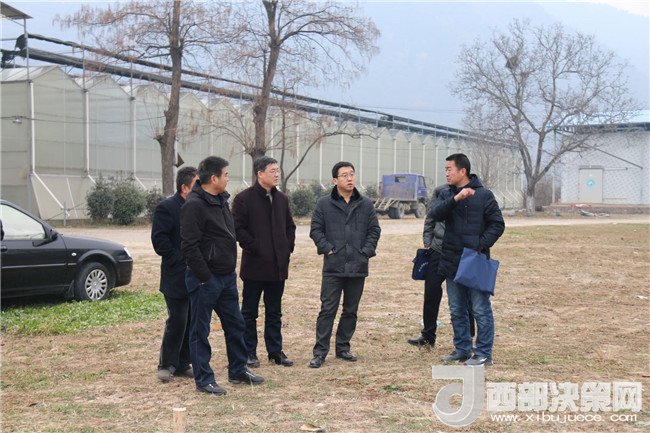 凤县副县长齐晓辉督导检查农业产业园区基地建设工作