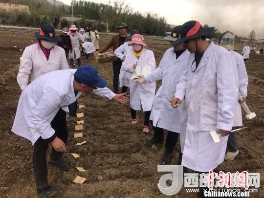 图为研究员实地调研青稞生长土壤。　王玉林 摄