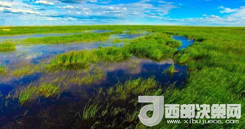 呼伦湖湿地。吴勇摄