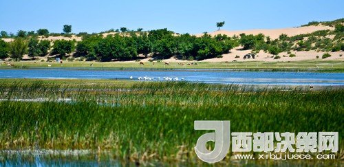 阿鲁科尔沁保护区湿地沙丘。吴勇摄