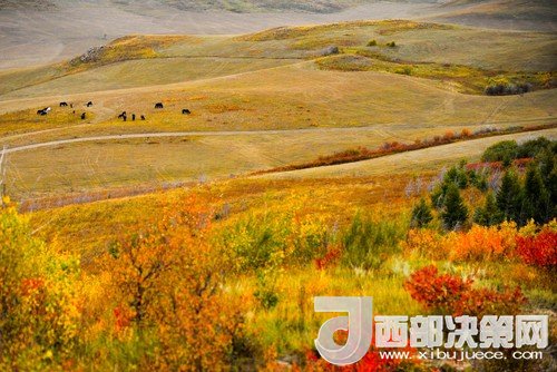 锡林郭勒草原国家级自然保护区。吴勇摄