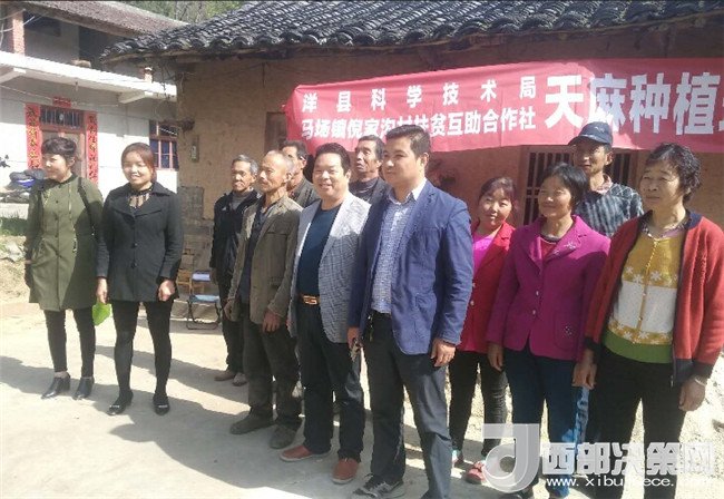 汉中洋县马畅镇倪家沟村驻村力量持续精准发力巩固脱贫成效