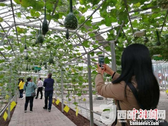 山西省邮政管理局积极推动“一市一品”农特产品进城项目。 资料图 杨杰英 摄