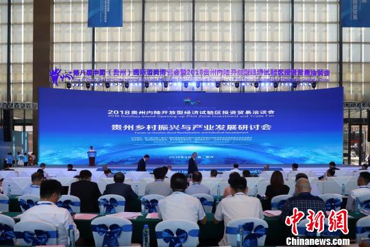如何走乡村振兴的“贵州之路”专家学者建言献策