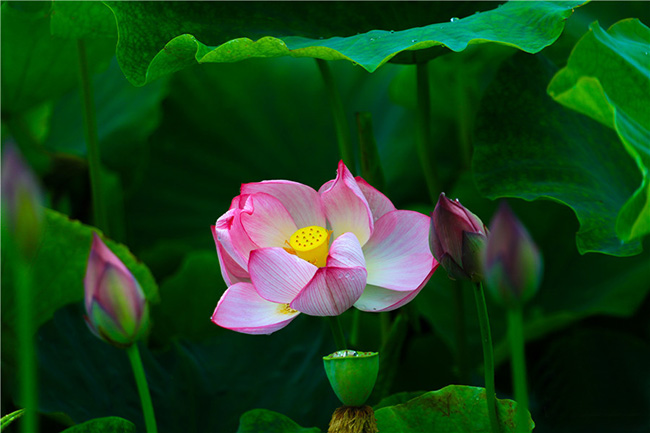 <b>պӰ续</b>