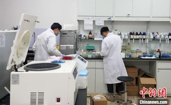 甘肃新冠肺炎辅助鉴别筛查系统上线：“智寻”潜在患者