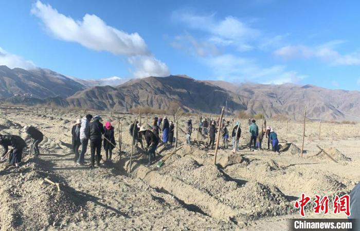 西藏那曲多措并举助生态搬迁安置点民众就近就便增收