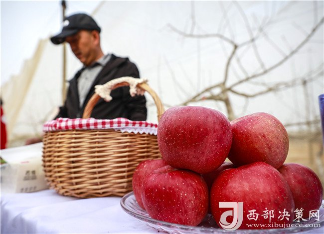 微信截图_20210331104320.png