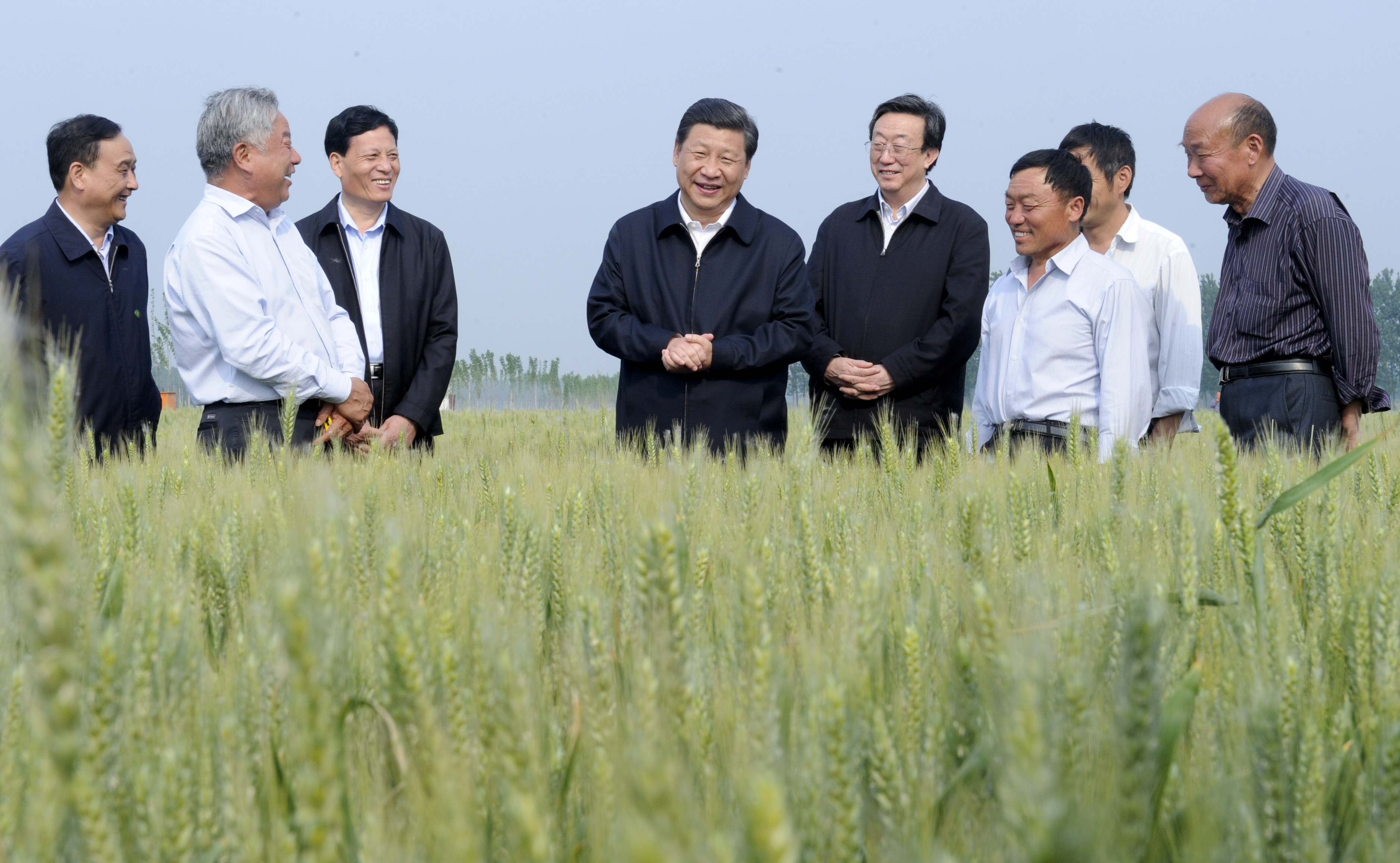 2014年5月9日，习近平总书记在尉氏县张市镇高标准粮田察看小麦长势。