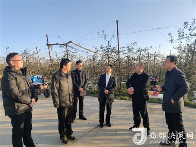 宝鸡市农业农村局考核验收凤翔区农技推广体系星级服务创建工作_陕西_西部决策网_国家一类新闻网站