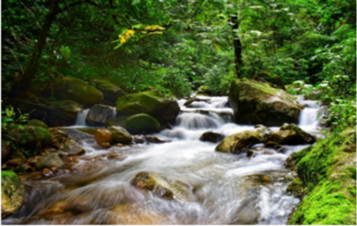 最美的季节遇见最美的景 陕西第三批生态旅游特色线路公布