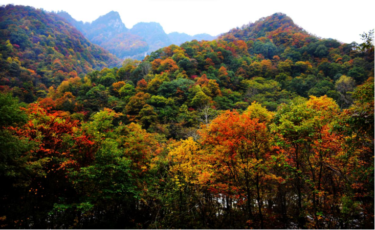 最美的季节遇见最美的景 陕西第三批生态旅游特色线路公布