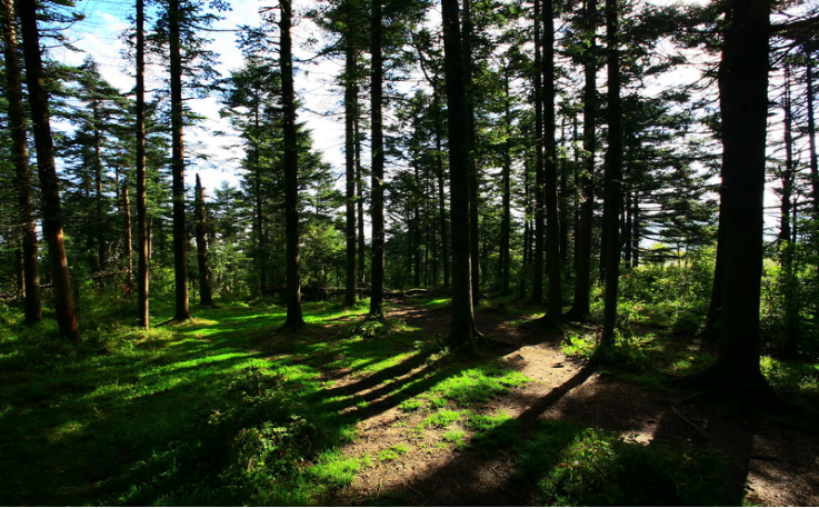 最美的季节遇见最美的景 陕西第三批生态旅游特色线路公布