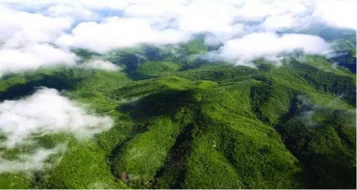 最美的季节遇见最美的景 陕西第三批生态旅游特色线路公布