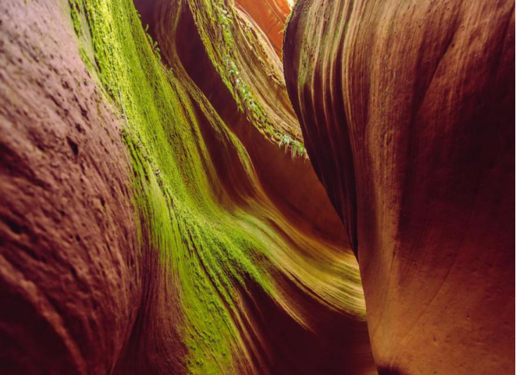 最美的季节遇见最美的景 陕西第三批生态旅游特色线路公布