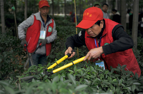 园艺师现场艺技切磋