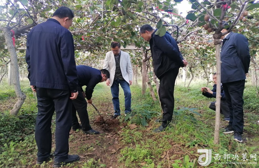 全国政协委员、江西省农业农村厅原厅长胡汉平到陕西厚地生物科技有限公司考察调研有机堆肥技术研发推广工作_民生资讯_西部决策网_国家一类新闻网站