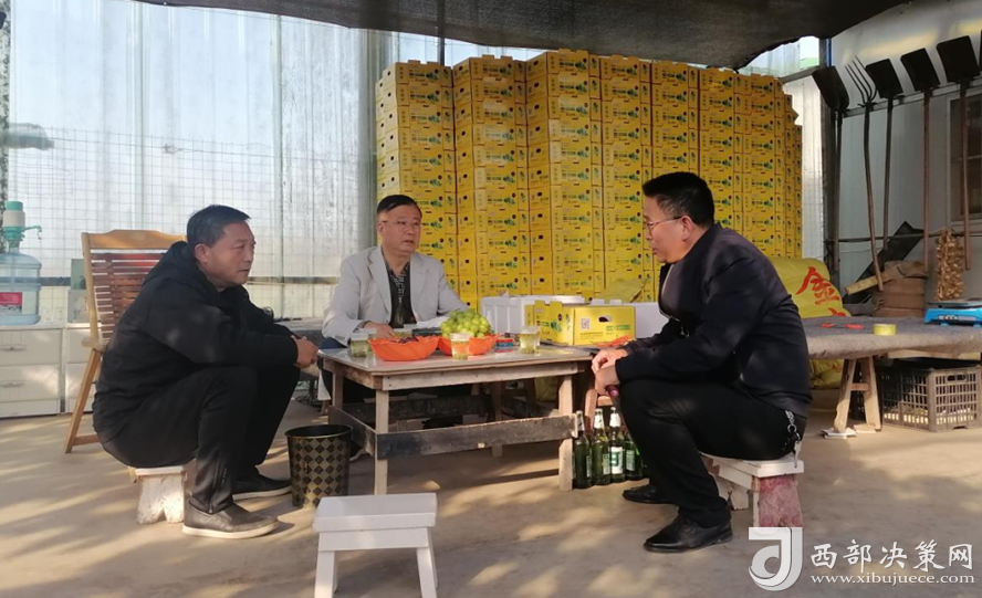 全国政协委员、江西省农业农村厅原厅长胡汉平到陕西厚地生物科技有限公司考察调研有机堆肥技术研发推广工作_民生资讯_西部决策网_国家一类新闻网站