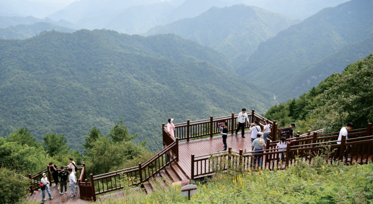 留坝县紫柏山国家森林公园