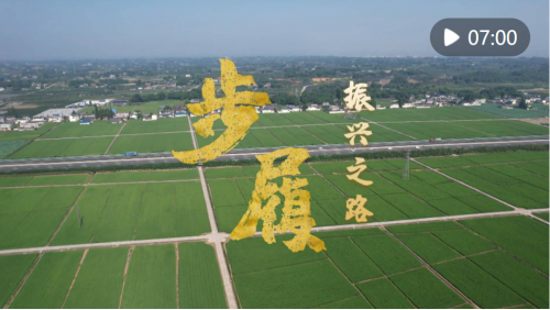 ģ֮·