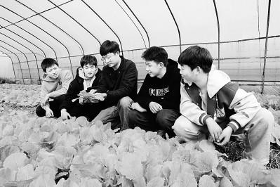 发展面向乡村振兴的职业教育：人才如何“向农而行”