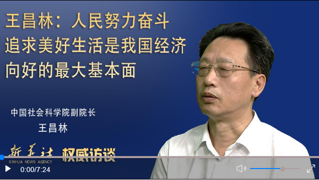 权威访谈丨专访王昌林：如何进一步扩大内需？